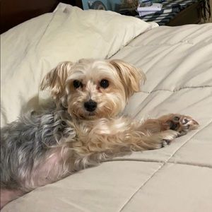 Meet your Posher, Jo anna